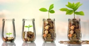 four jars with pennies and plant stems